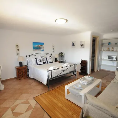 Lejlighed Divers House Agrari (Mykonos)